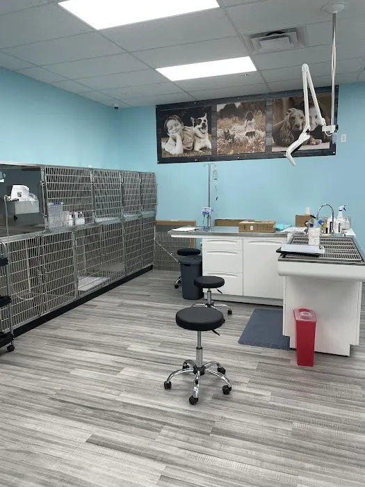 VetCheck Pet Urgent Care Center - Carmel 12