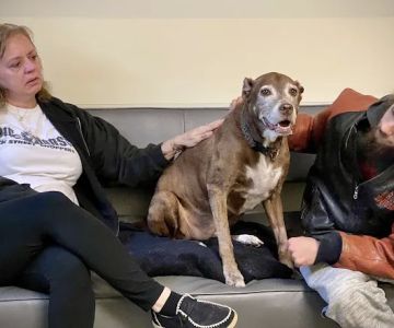 VCA Advanced Veterinary Care Center