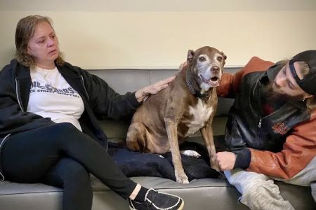 VCA Advanced Veterinary Care Center