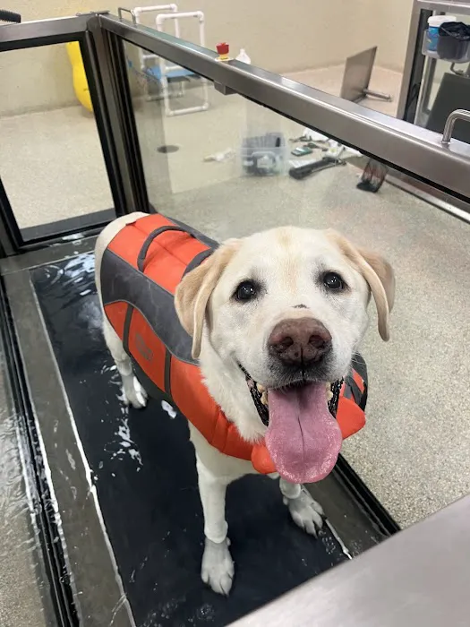 VCA Advanced Veterinary Care Center 6