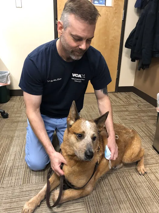 VCA Advanced Veterinary Care Center 4
