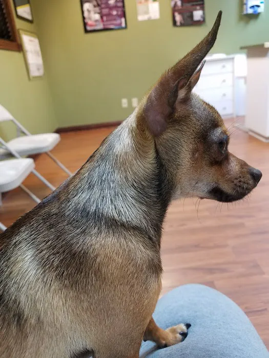 Pet Vaccination Clinic 7