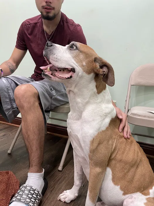 Pet Vaccination Clinic 1