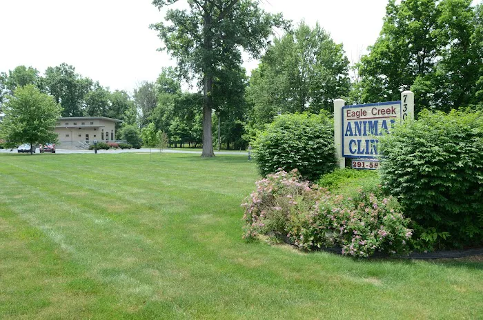 Eagle Creek Animal Clinic 4