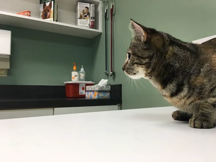 Eagle Creek Animal Clinic 5