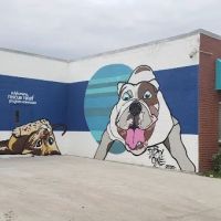 IndyHumane Downtown Clinic ico