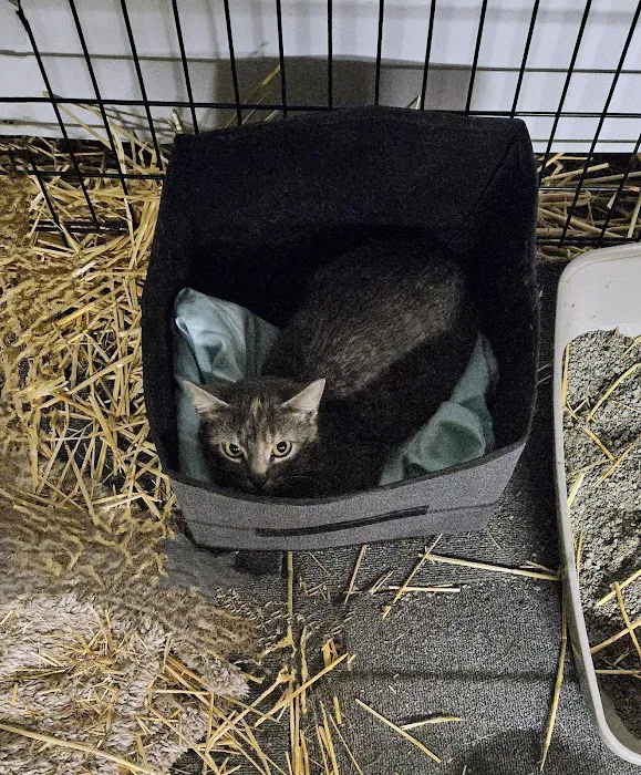 IndyHumane Downtown Clinic 9