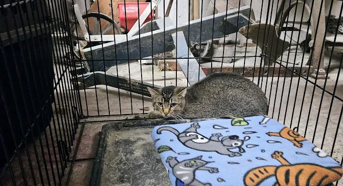 IndyHumane Downtown Clinic 6