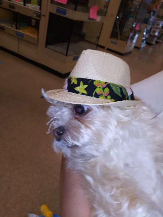Banfield Pet Hospital 3