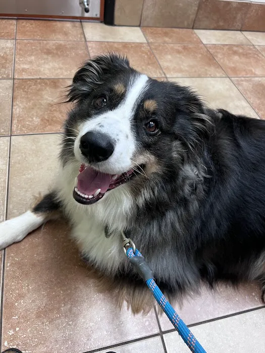 Banfield Pet Hospital 2