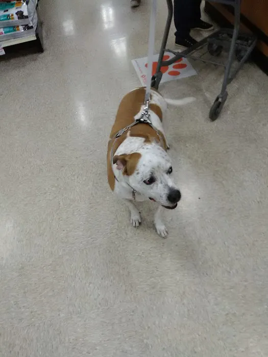 Banfield Pet Hospital 6
