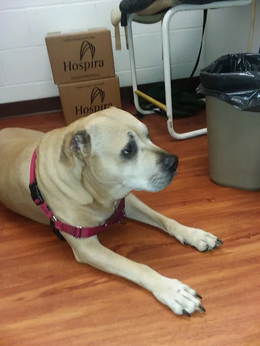 Georgetown Animal Hospital 12