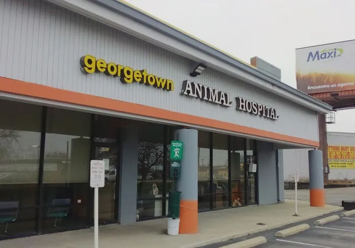 Georgetown Animal Hospital 12