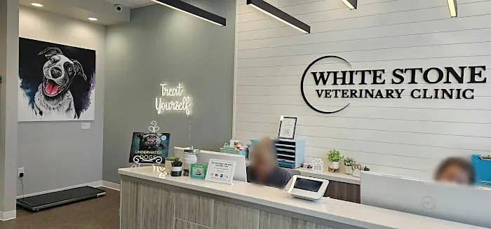 White Stone Veterinary Clinic 2