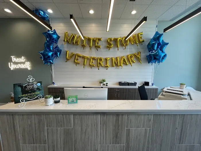 White Stone Veterinary Clinic 3
