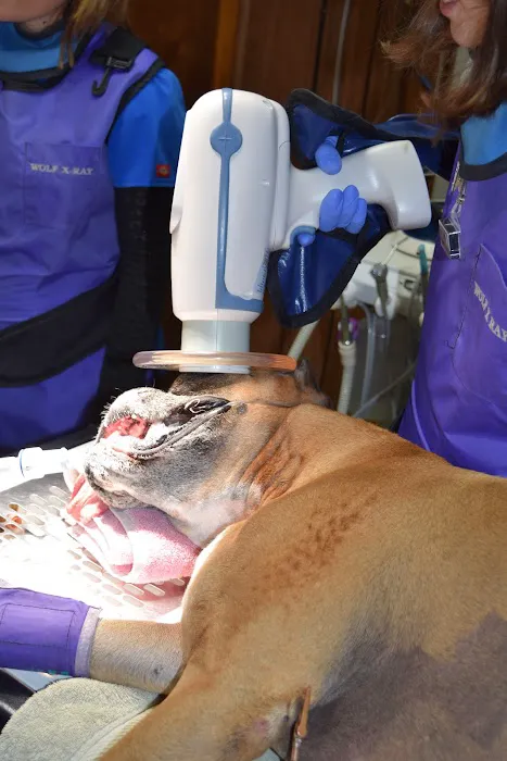 Brownsburg Animal Clinic 4