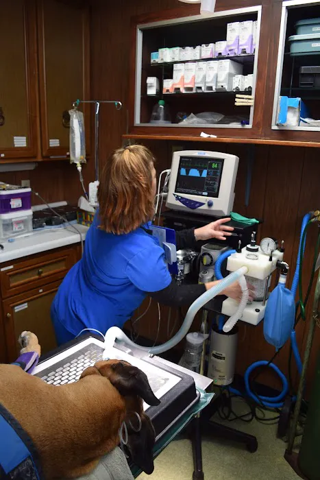 Brownsburg Animal Clinic 8