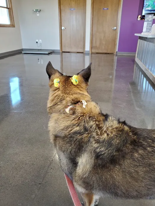 Brownsburg Animal Clinic 9