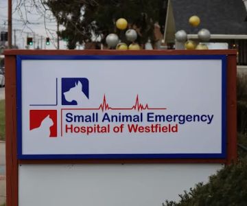 Small Animal Emergency Hospital of Westfield