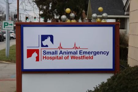 Small Animal Emergency Hospital of Westfield
