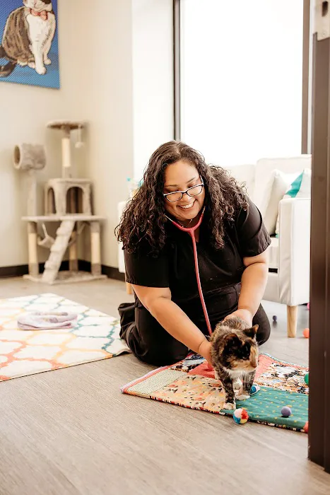 PetVet365 Pet Hospital Indianapolis / Eagle Creek 6