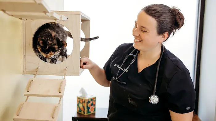 PetVet365 Pet Hospital Indianapolis / Eagle Creek 5