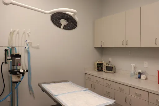 Animal Hospital of Avon 2