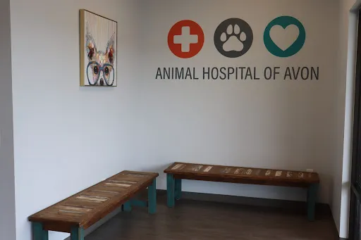 Animal Hospital of Avon 1