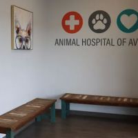 Animal Hospital of Avon ico