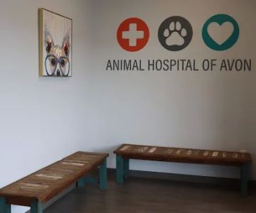 Animal Hospital of Avon
