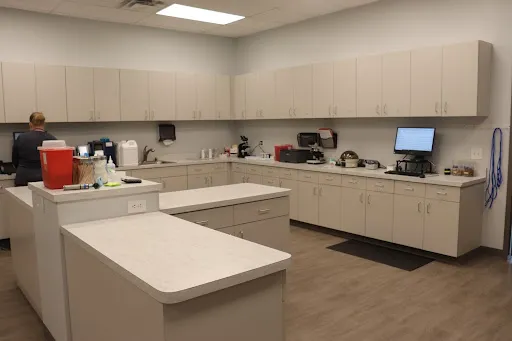 Animal Hospital of Avon 3