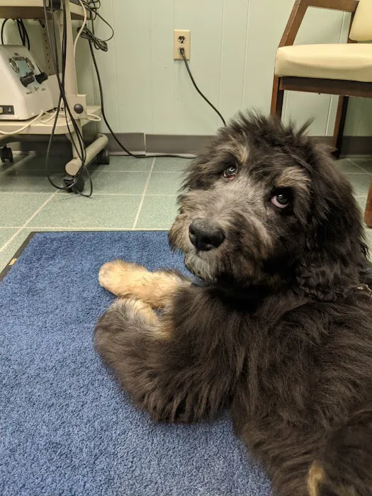 Augusta Animal Clinic 3