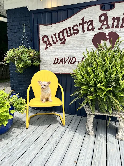 Augusta Animal Clinic 1
