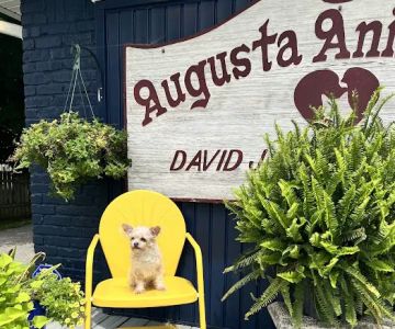 Augusta Animal Clinic