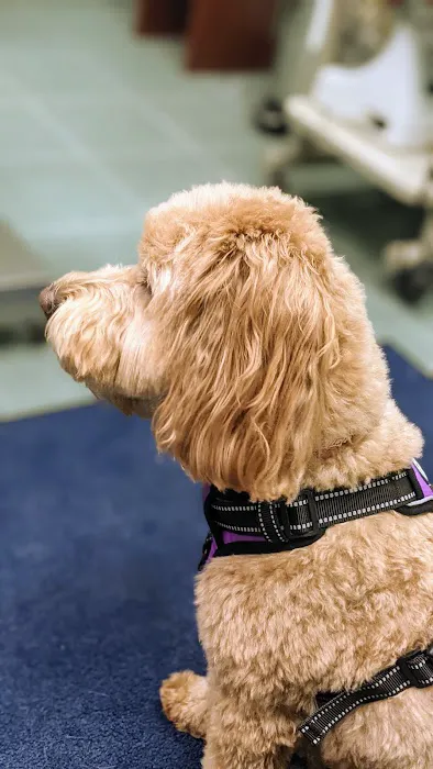 Augusta Animal Clinic 4