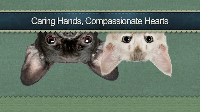 Augusta Animal Clinic 10