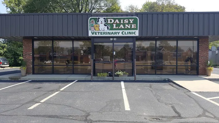 Daisy Lane Veterinary Clinic 2