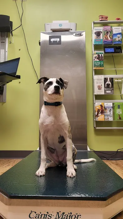 Daisy Lane Veterinary Clinic 6