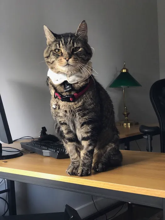 Daisy Lane Veterinary Clinic 8