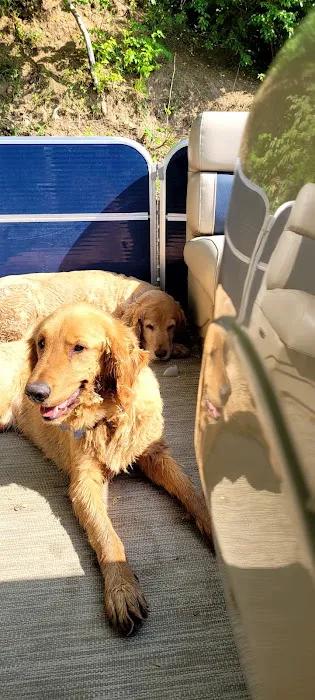 Daisy Lane Veterinary Clinic 9