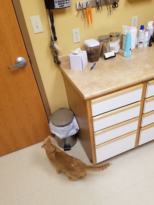 Daisy Lane Veterinary Clinic 3