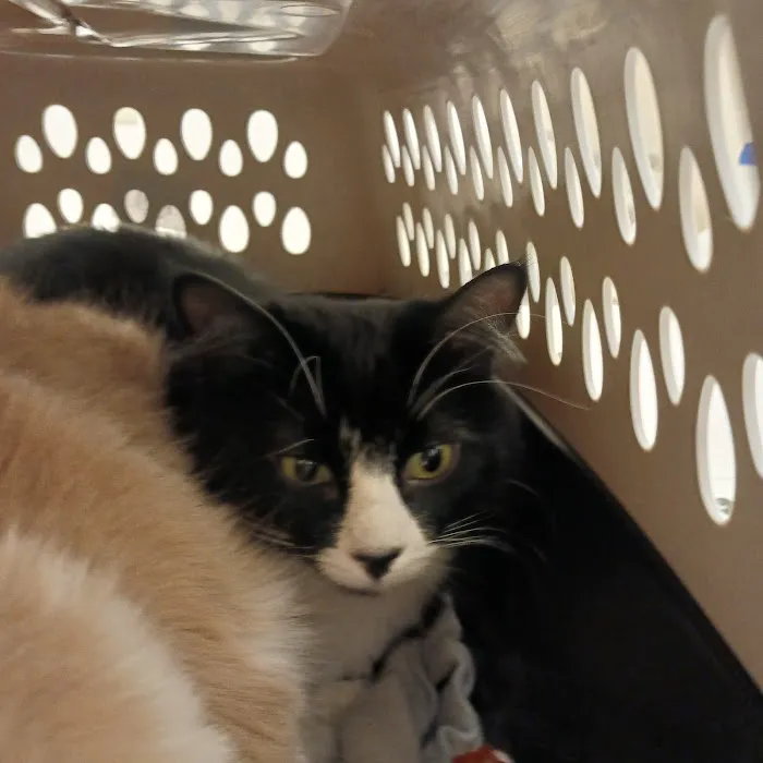 Hillview Veterinary Clinic 12