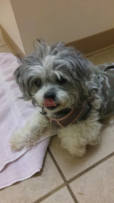 Hillview Veterinary Clinic 12