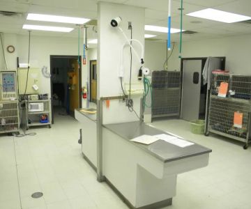 VCA West 86th St. Animal Hospital