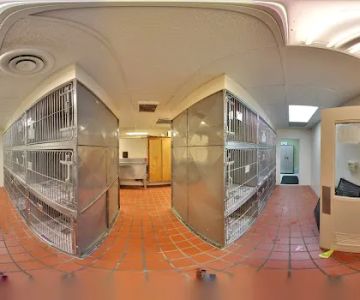 Michigan Road Animal Hospital at Crooked Creek