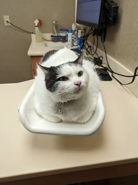 Westwood Hospital for Animals 12
