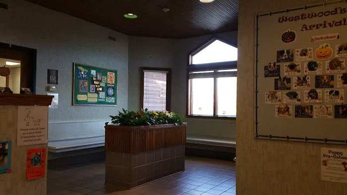 Westwood Hospital for Animals 12