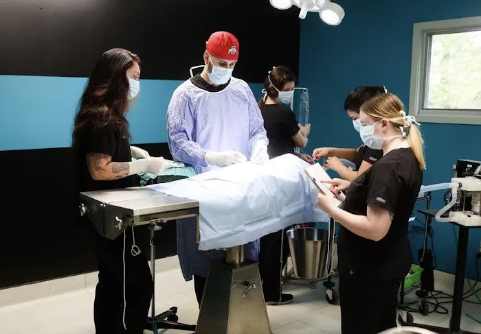 Nora Veterinary Hospital 1