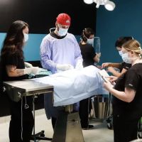Nora Veterinary Hospital ico