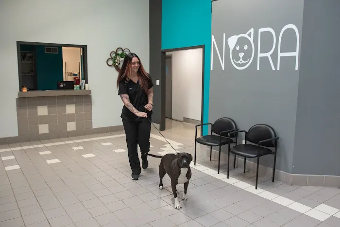 Nora Veterinary Hospital 8